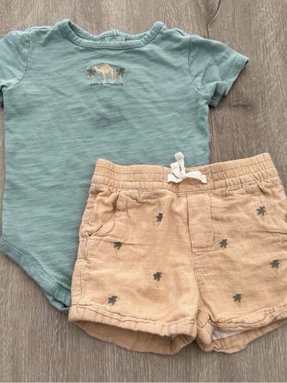 12m Baby Boy Janie and Jack Onesie with Tan Palm-Print Shorts